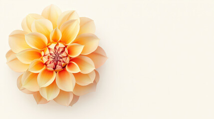 blooming flower with vibrant hues, showcasing delicate petals and soft gradient from peach to cream, set against light background