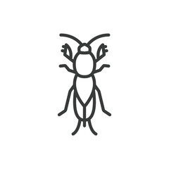 Mole cricket, icon in line design. Mole, cricket, insect, animal, nature, underground, burrow on white background vector. Mole cricket, editable stroke icon