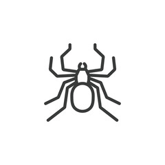 Spider, icon in line design. Spider, arachnid, web, eight-legs, predator, insect, creepy on white background vector. Spider, editable stroke icon