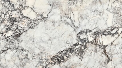 Fototapeta premium Beautiful marble surface showcasing intricate patterns and textures with a blend of white and grey tones