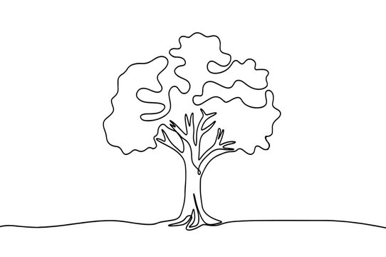 Tree continuous one line drawing of nature tree