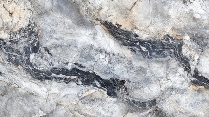 Fototapeta premium Natural stone surface with intricate gray and black patterns showcasing unique textures and colors