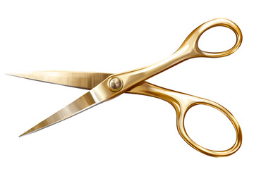 a pair of golden scissors