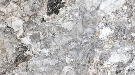 Stunning natural stone surface showcasing intricate patterns and textures in shades of gray and white