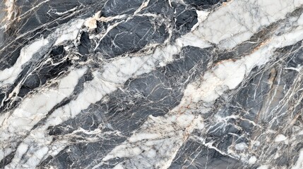 Elegant black and white marble pattern showcasing natural stone texture and unique veining