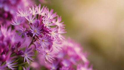 The bright flowers of oregano, also known as oregano or wild marjoram. The petals with intricate detailing have a warm, inviting shade. In the background there is a serene nature, a blurred background
