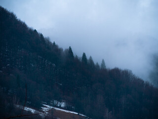 Village in Transcarpathia region scenic Carpathian mountains. Contrasting white clouds dark green pine trees scenic view