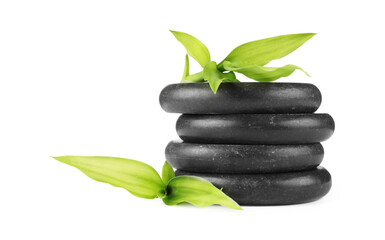 Obraz premium Spa stones and green leaves isolated on white
