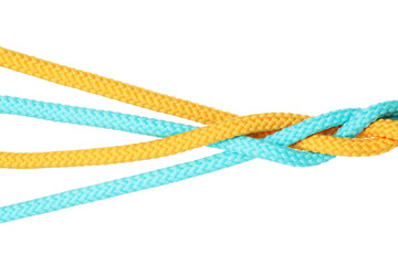 Colorful ropes tied together isolated on white. Unity concept