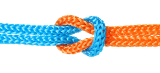 Colorful ropes tied in knot isolated on white. Unity concept
