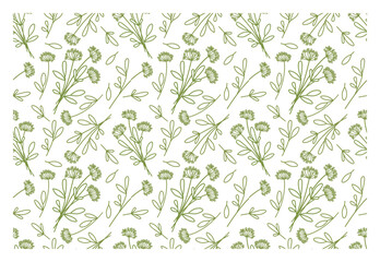 Abstract line drawn pattern. Leaf pattern. Vector collection for print, cards, packaging and other design with natural herbs.