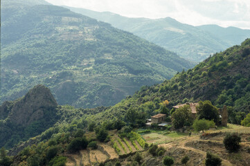 Fototapeta premium ferme, culture en terrassesvigne vierge, Chalencon, 07, France