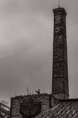 Landscapes - Forest - Europe, Romania, Suceava region 