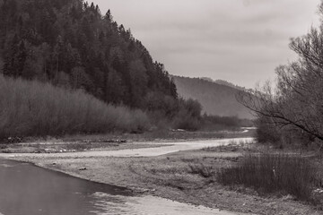 Landscapes - Forest - Europe, Romania, Suceava region 