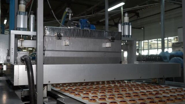 Industrial food factory or bakery, cookies on automated production line or conveyor belt, confectionery plant or bakehouse