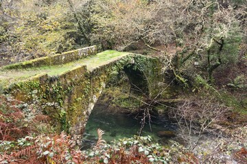 An ancient stone bridge covered in moss spans a clear stream in a dense forest. Bare branches suggest an autumn or early winter season.