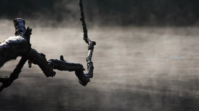 Fog and water vapor on the surface of the adda river