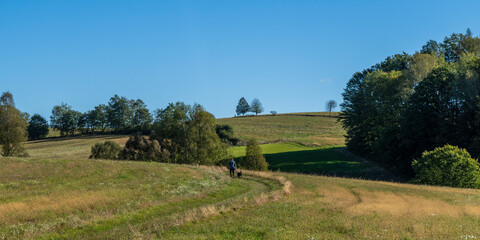 Obraz premium Wanderweg bei Ottendorf, Sebnitz, in der Sächsischen Schweiz 2