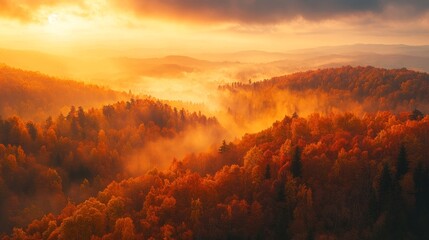 Naklejka premium A breathtaking view of a misty forest during sunset, showcasing vibrant autumn color.