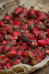 ethiopian cardamom (aframommum corrima) drying in the sun