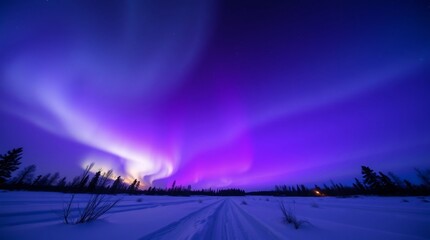 Northern lights in white and purple colors seen at night over the snow
