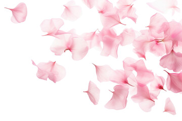 PNG Pink petals backgrounds flower plant.