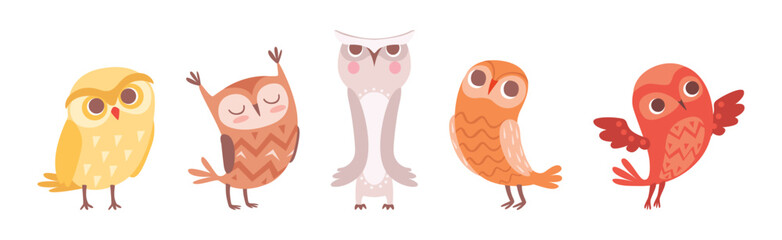 Cute Owl Bird with Feather and Wing Vector Set