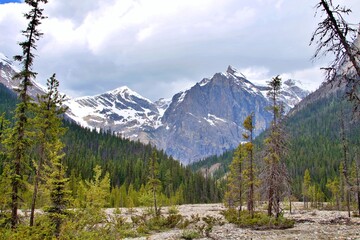A stunning photograph of a snow-capped mountain peak rising sharply against a clear blue sky. The dramatic rock formations and patches of snow create a striking contrast, showcasing the rugged beauty 
