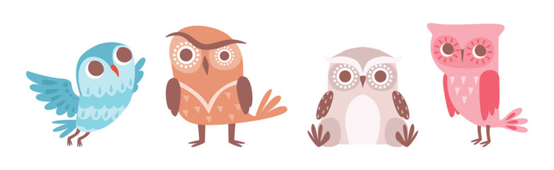 Cute Owl Bird with Feather and Wing Vector Set
