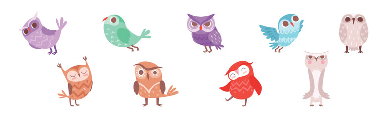 Cute Owl Bird with Feather and Wing Vector Set