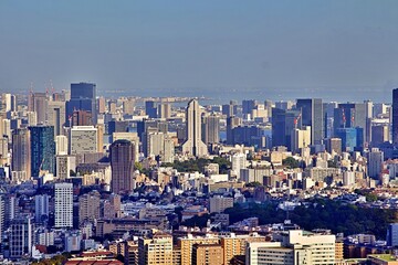 Obraz premium A stunning view of Tokyo's skyline showcasing a mix of modern architecture, high-rise skyscrapers, and the iconic red Tokyo Tower. The image captures the vibrant urban landscape under a clear blue sky