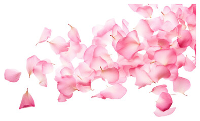 Obraz premium PNG Pink petals falling backgrounds flower plant.