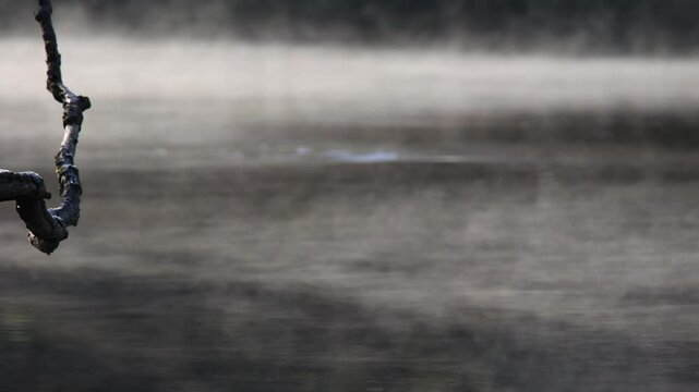 Fog and water vapor on the surface of the adda river