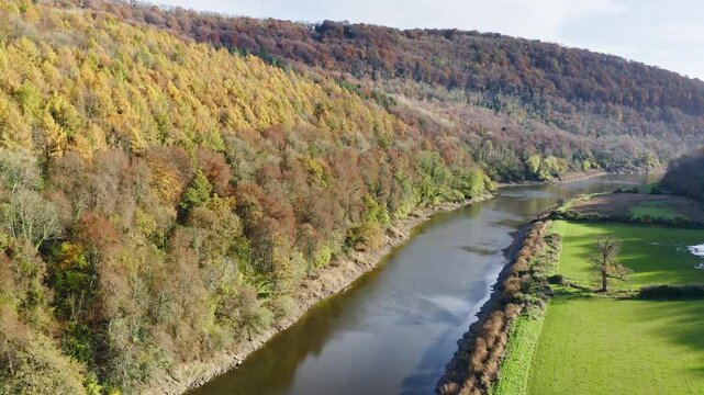 Aerial view of a river with autumn foliage