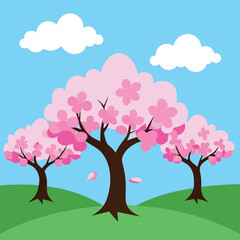 Beautiful sakura flowers isolated on white