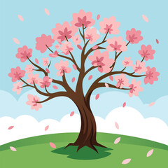 Beautiful sakura flowers isolated on white