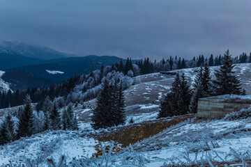 Landscapes - Forest - Europe, Romania, Suceava region 