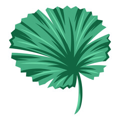 Stylized palm leaf. Decorative image of tropical foliage and plant.