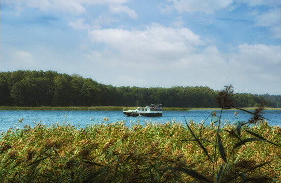 Reeds sway in the wind on a beautiful, relaxing summer day by the lake in Poland. 

Idyllic beach at the swimming lake.