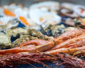 Fresh various seafood and shrimp on a fish market