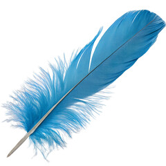 Vibrant Blue Feather Isolated isolated on transparent background cutout, Png, Cutout