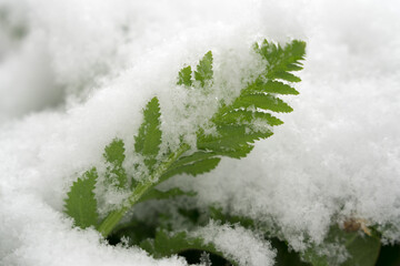 Winter in Hamburg, Schnee, gefroren