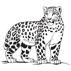 Creative black and white animal vector 