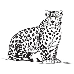 Creative black and white animal vector 