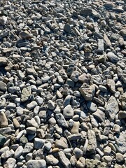 Gray stones on the seashore