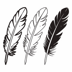 Obraz premium Three feathers in black and white line art