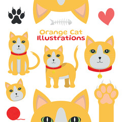 Orange and White Cat - Cute Illustrations in Different Poses, Sitting, Side, Head, Paw and Ears. Cartoon in Flat Design.