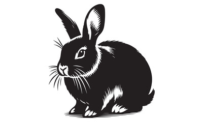 Obraz premium Black and white bunny isolated on white background, a furry pet with long ears