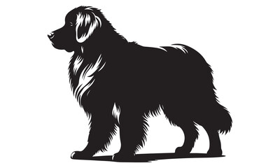 Black and white cocker spaniel puppy sitting on white background, isolated