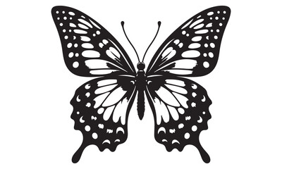 Beautiful Blue Swallowtail Butterfly Isolated on White Background